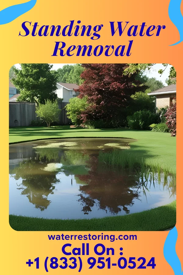 Standing Water Removal in Lake Fenton, MI